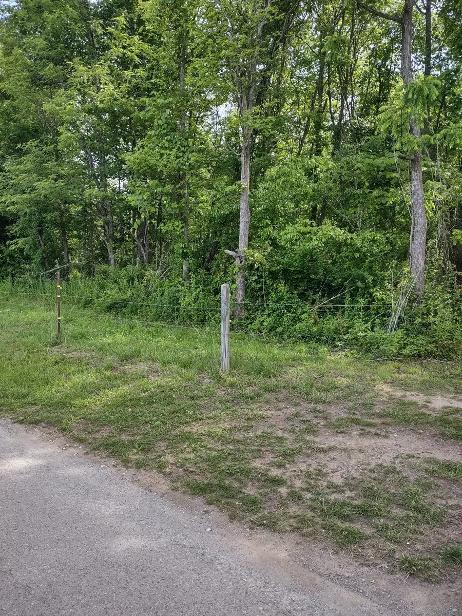 689 Stone Door Rd, Beersheba Springs, TN 37305 - #2