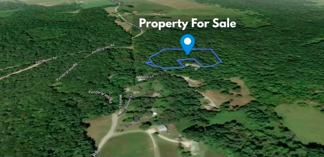 1 Moles Lane, Byrdstown, TN 38549 - #1