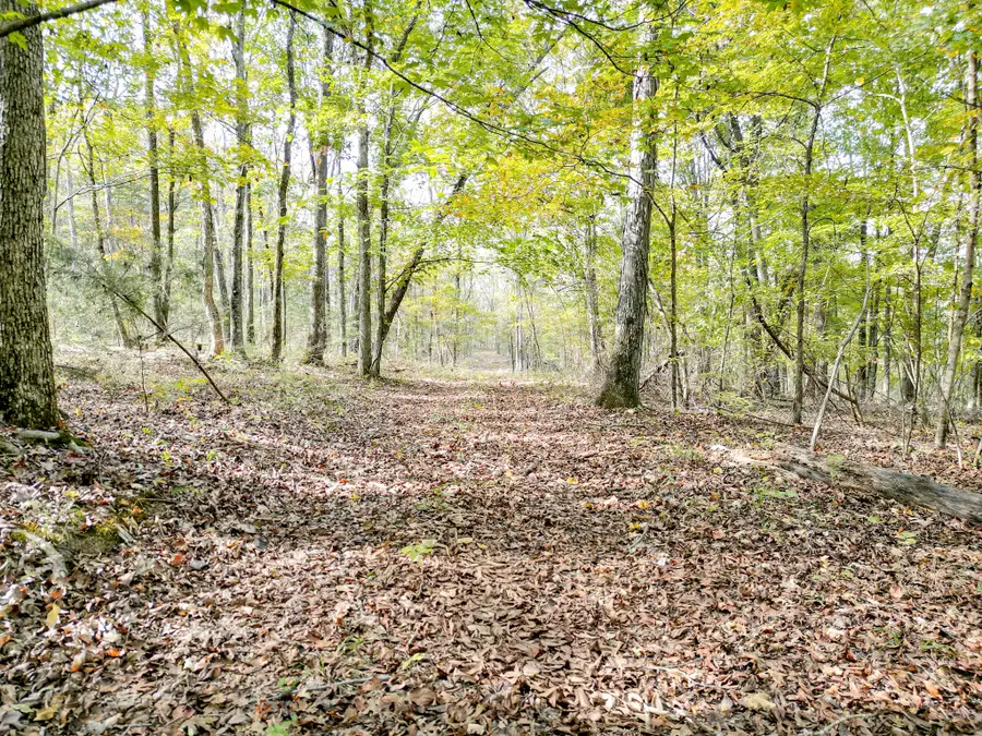 0 Luke Moser Rd, Columbia, TN 38401 - #2
