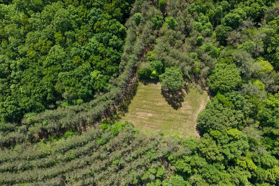 0 Darbytown Rd, Hohenwald, TN 38462 - #2