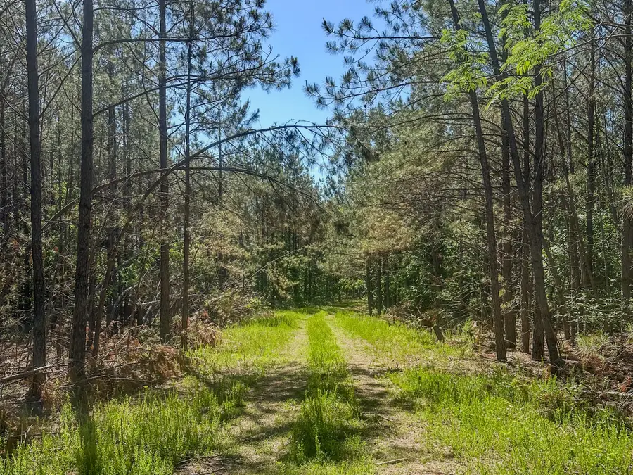 0 Darbytown Rd, Hohenwald, TN 38462 - #3