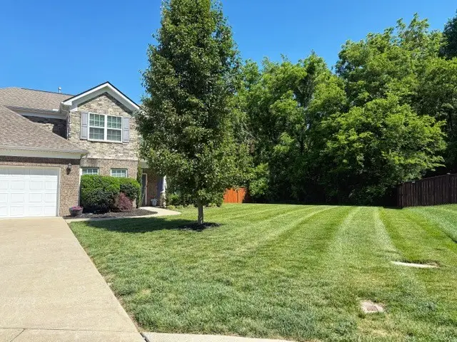 3011 Davinci Ct, Thompsons Station, TN 37179 - #2