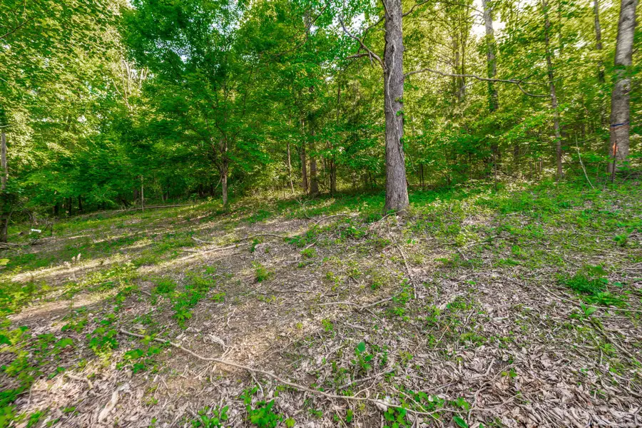 1170 James Brown Rd, Westmoreland, TN 37186 - #2