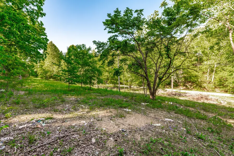 1170 James Brown Rd, Westmoreland, TN 37186 - #3