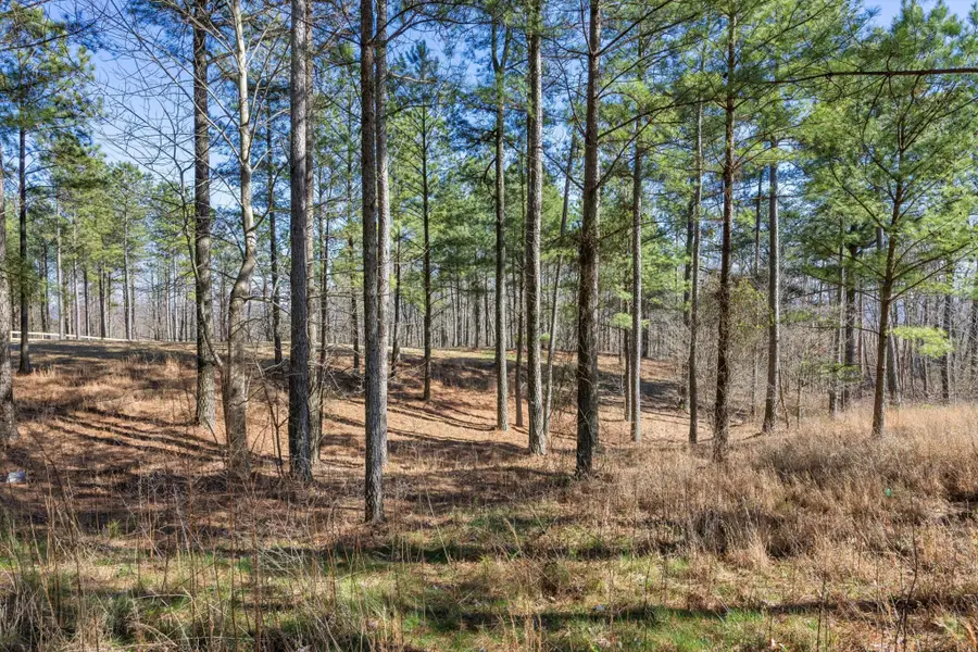 0 Prospectors Way, Jasper, TN 37347 - #3