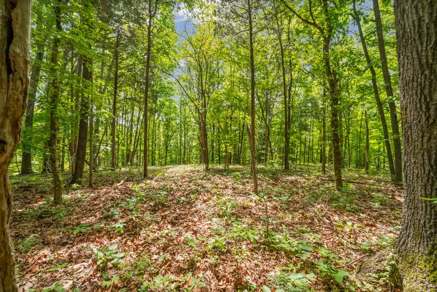 1 Budds Creek Road, Palmyra, TN 37142 - #2