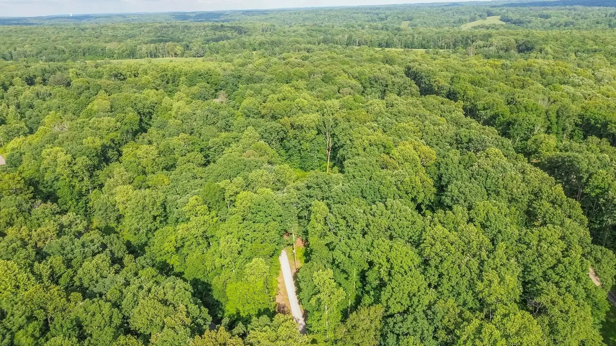 7872 Oscar Green Rd, Primm Springs, TN 38476 - #1