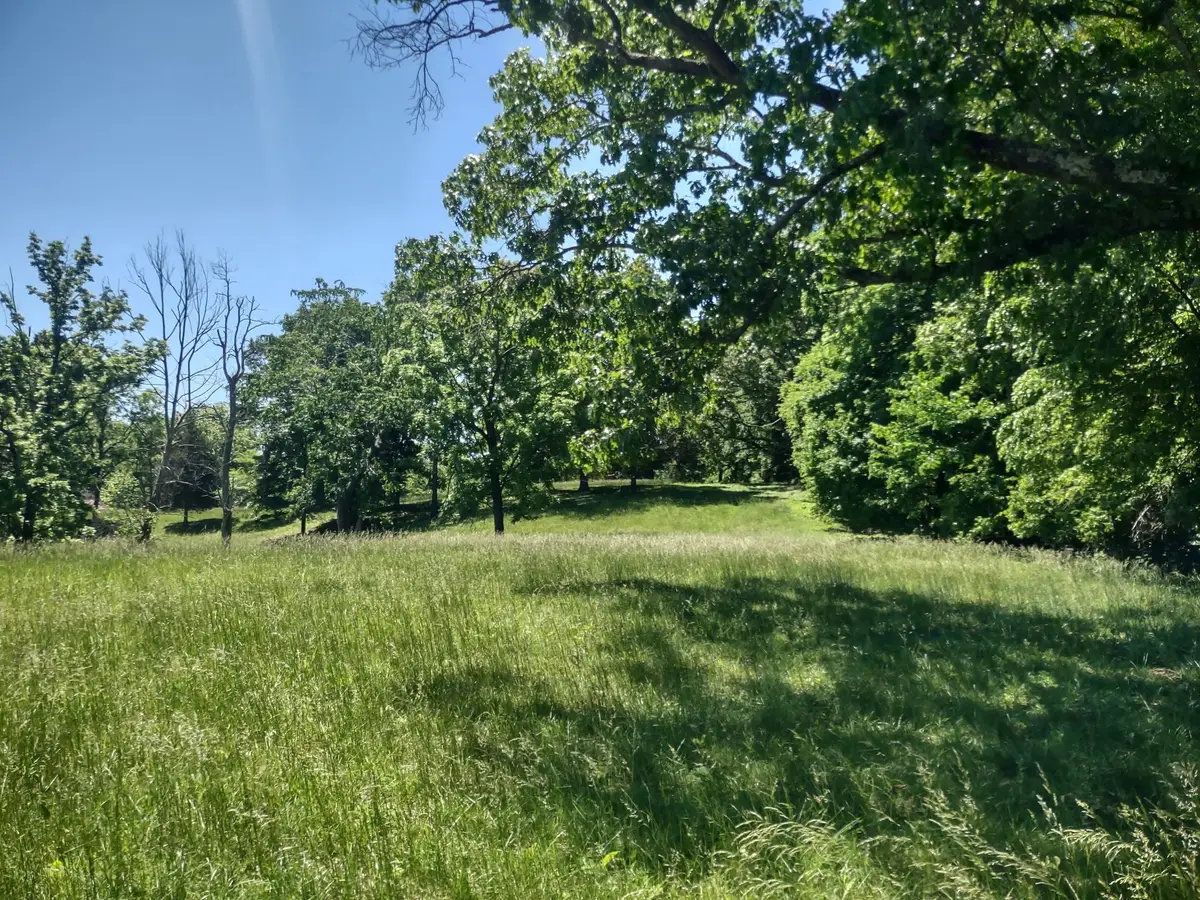 3 Valley Rd, Springfield, TN 37172 - #1