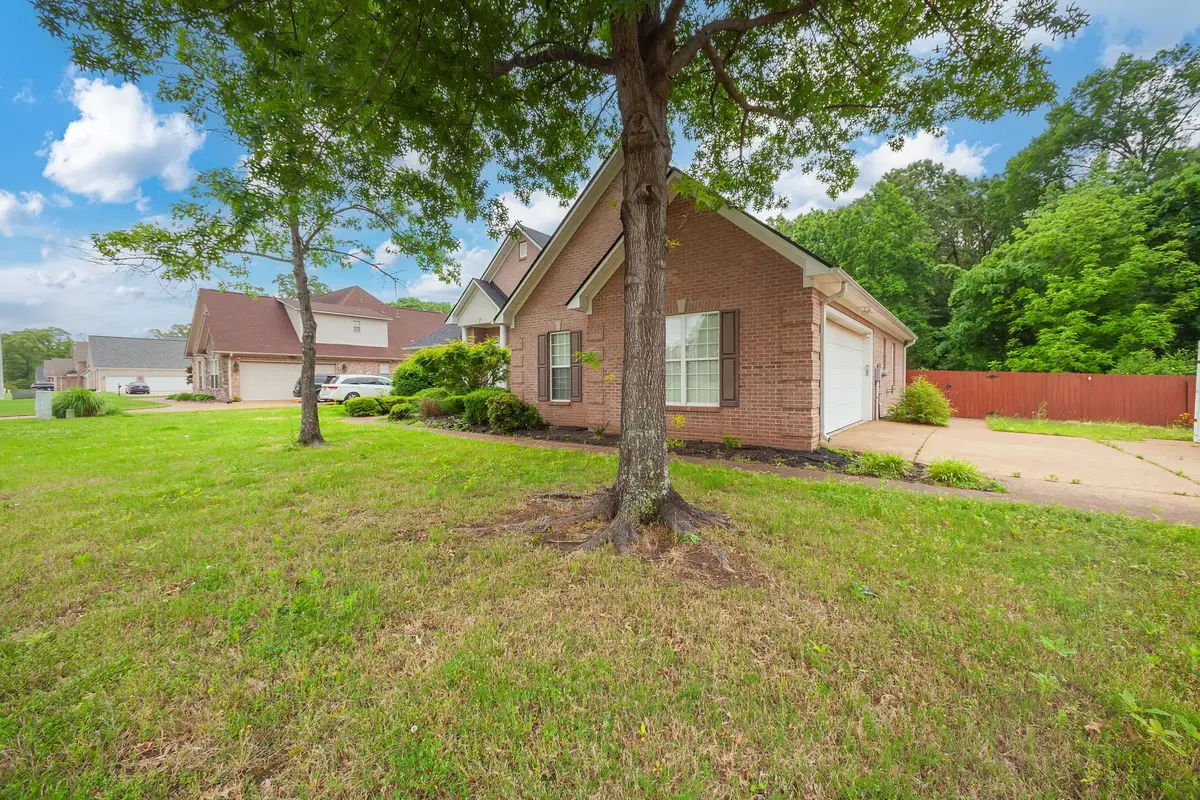 14 Brookhollow Cv, Jackson, TN 38305 - #1
