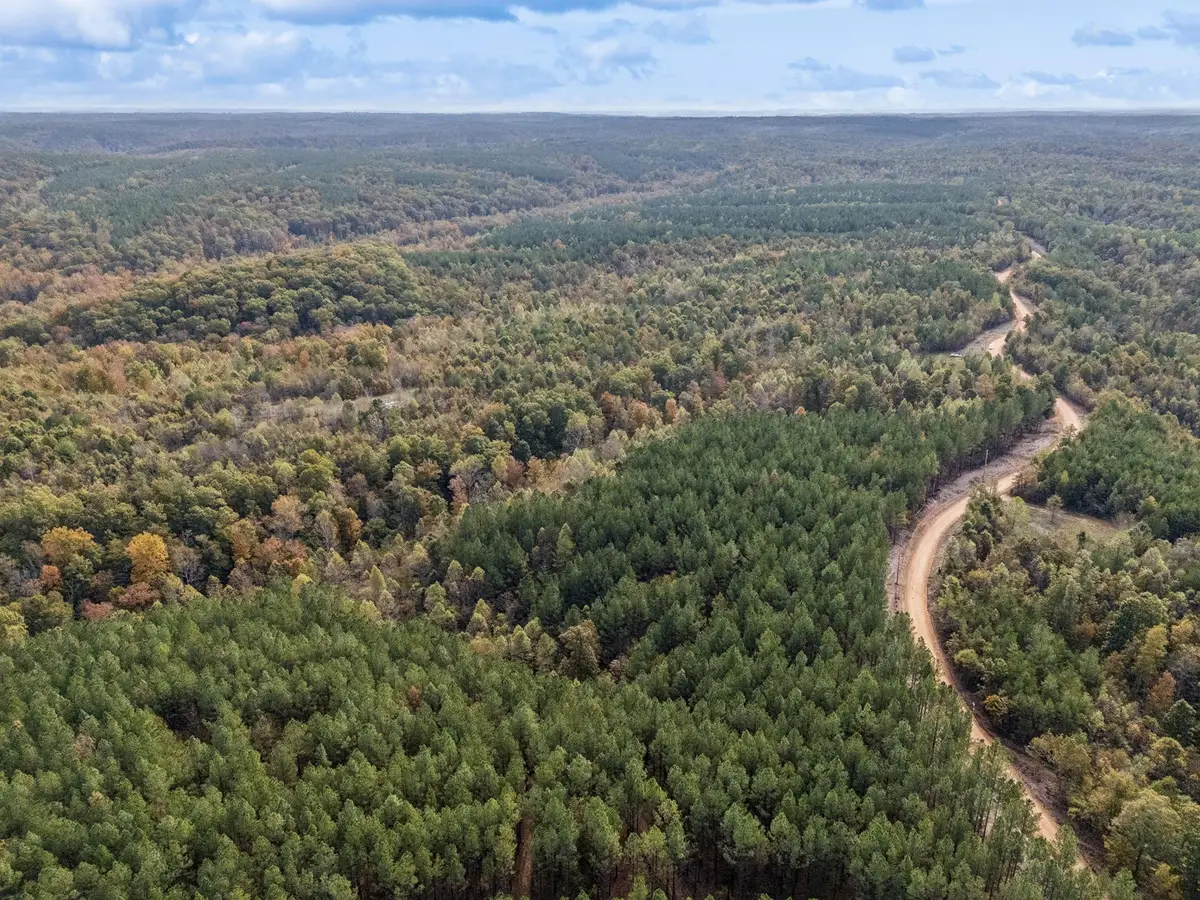 0 Old Mail Road, Duck River, TN 38454 - #1