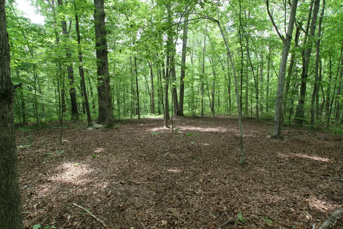 5671 Pinewood Rd, Franklin, TN 37064 - #1