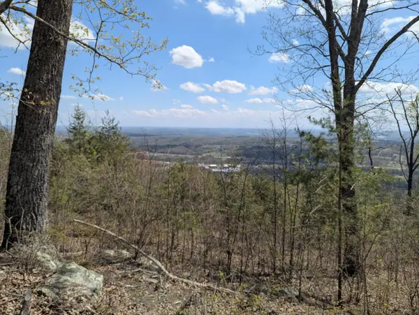 6 Escape Drive, Evensville, TN 37332