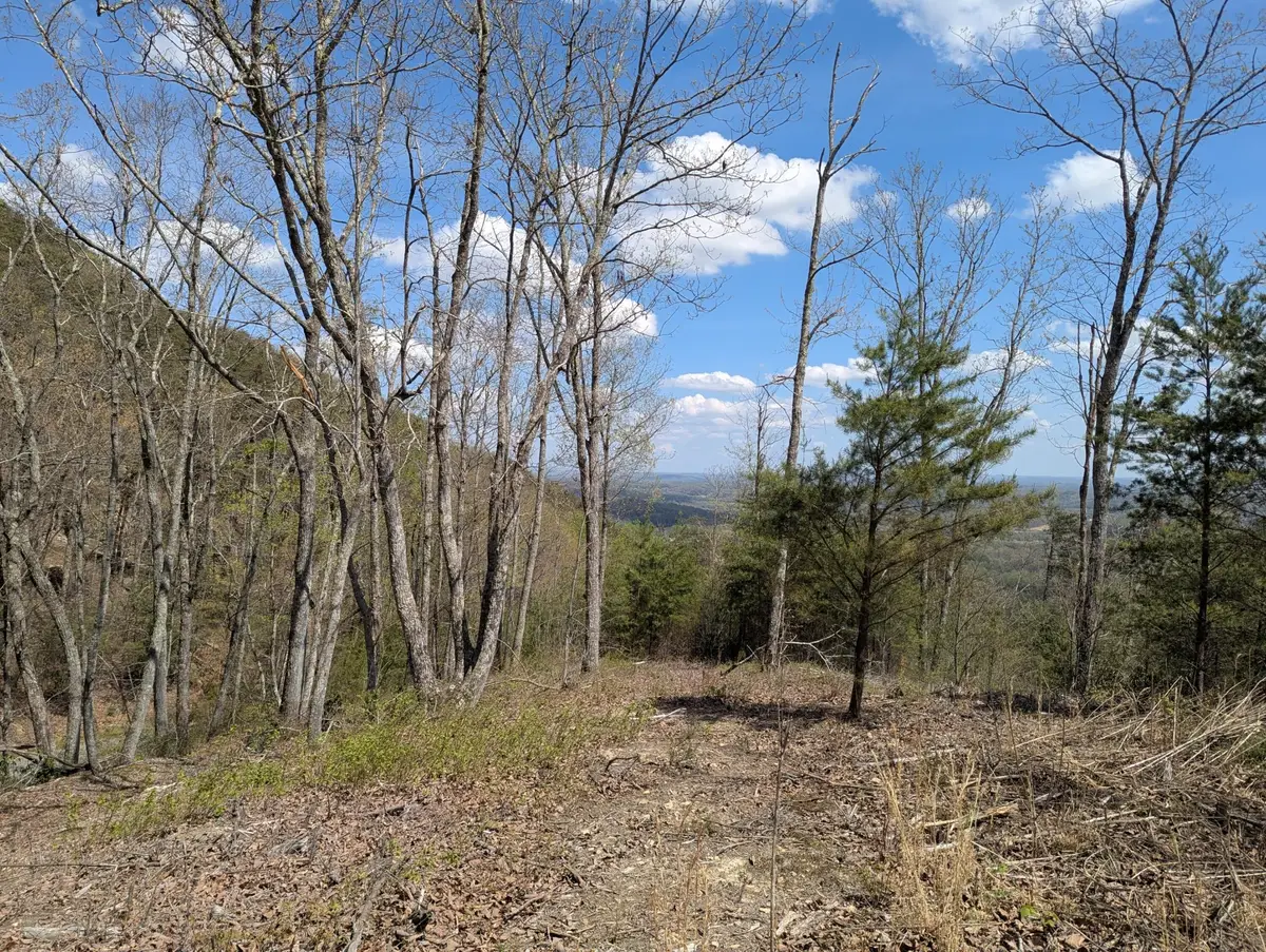 10 Escape Drive, Evensville, TN 37332 - #1