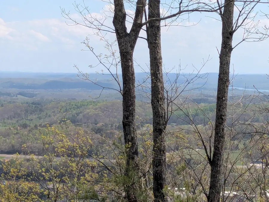10 Escape Drive, Evensville, TN 37332 - #3