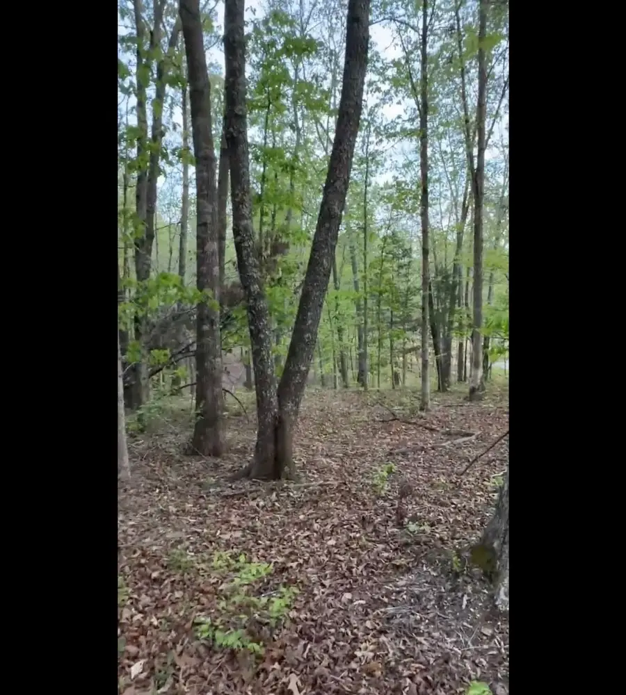 4595 Chapel Hill Rd, Southside, TN 37171 - #2