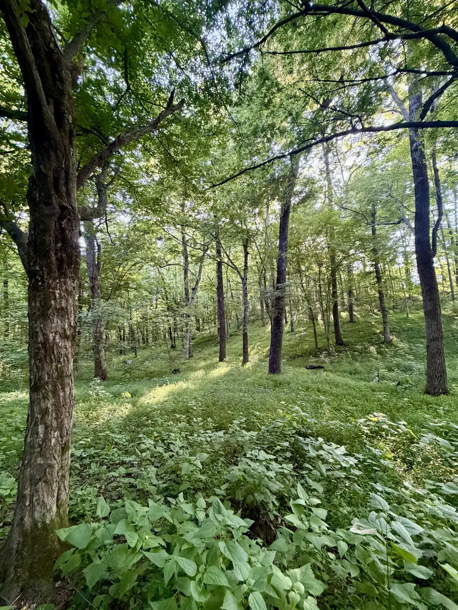497 Rascaltown Rd, Loretto, TN 38469 - #3