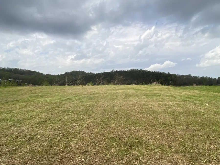 715 River Front Dr, Clifton, TN 38425 - #3