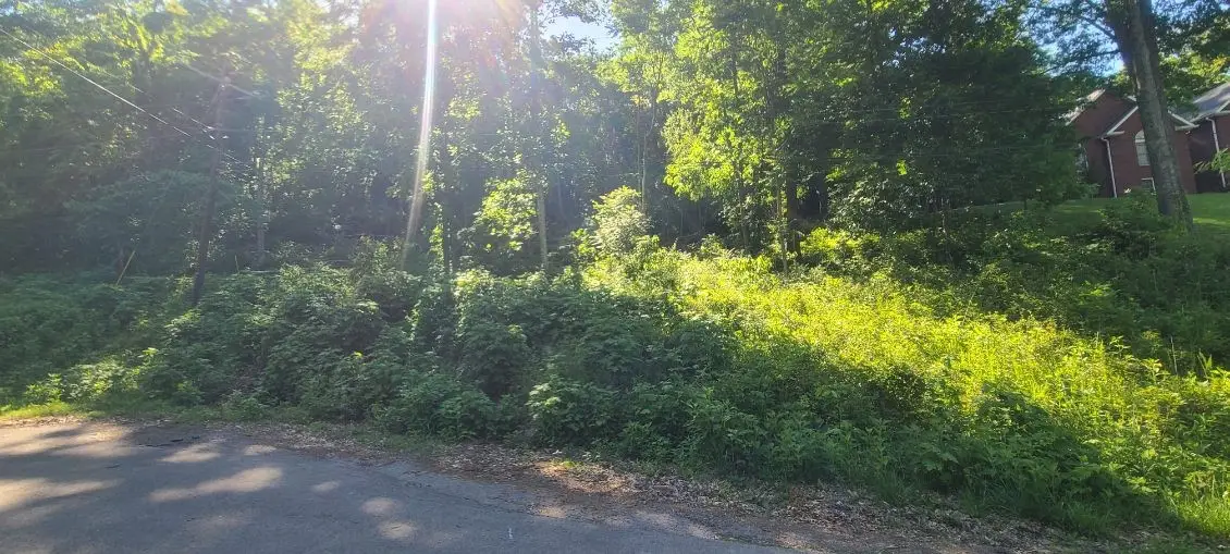 4180 Creek Trail Dr, Whites Creek, TN 37189 - #1