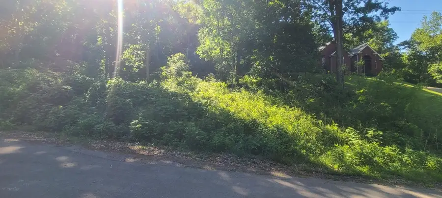 4180 Creek Trail Dr, Whites Creek, TN 37189 - #2