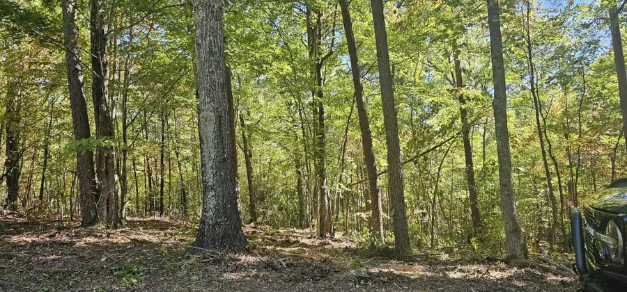 208 Old Furnace Road, Tellico Plains, TN 37385 - #3