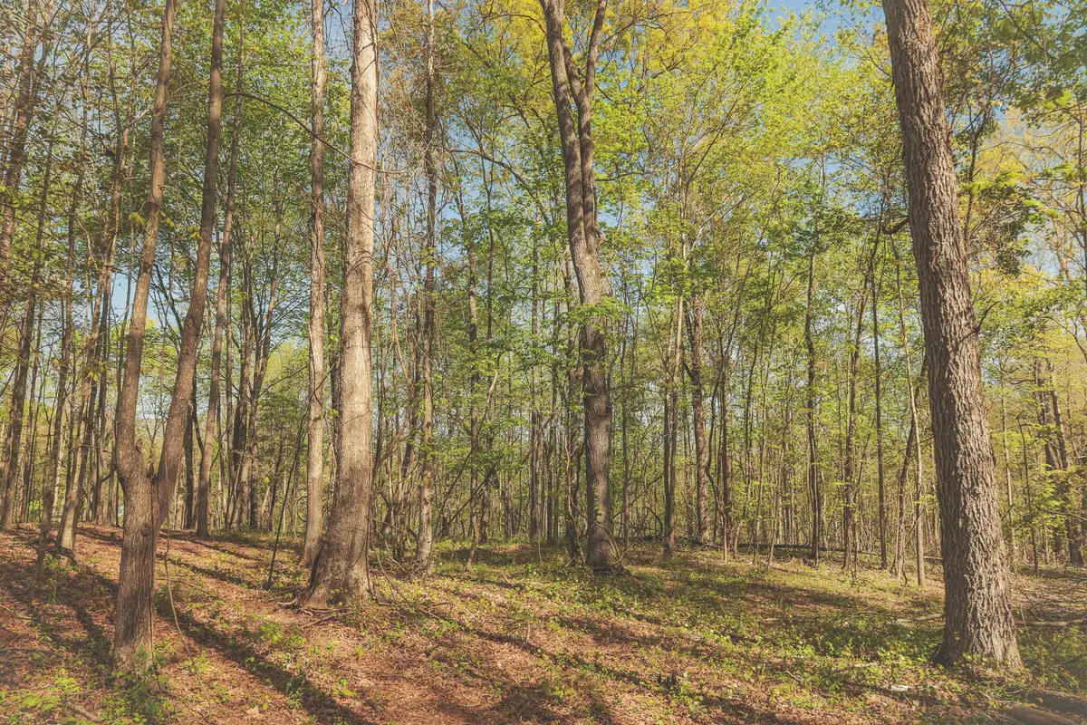 0 Howard Huttsell Lane, Spring City, TN 37381 - #1