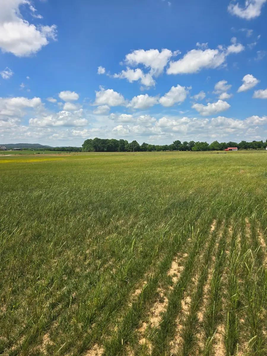 0 Shoemaker Rd, Eagleville, TN 37060 - #2