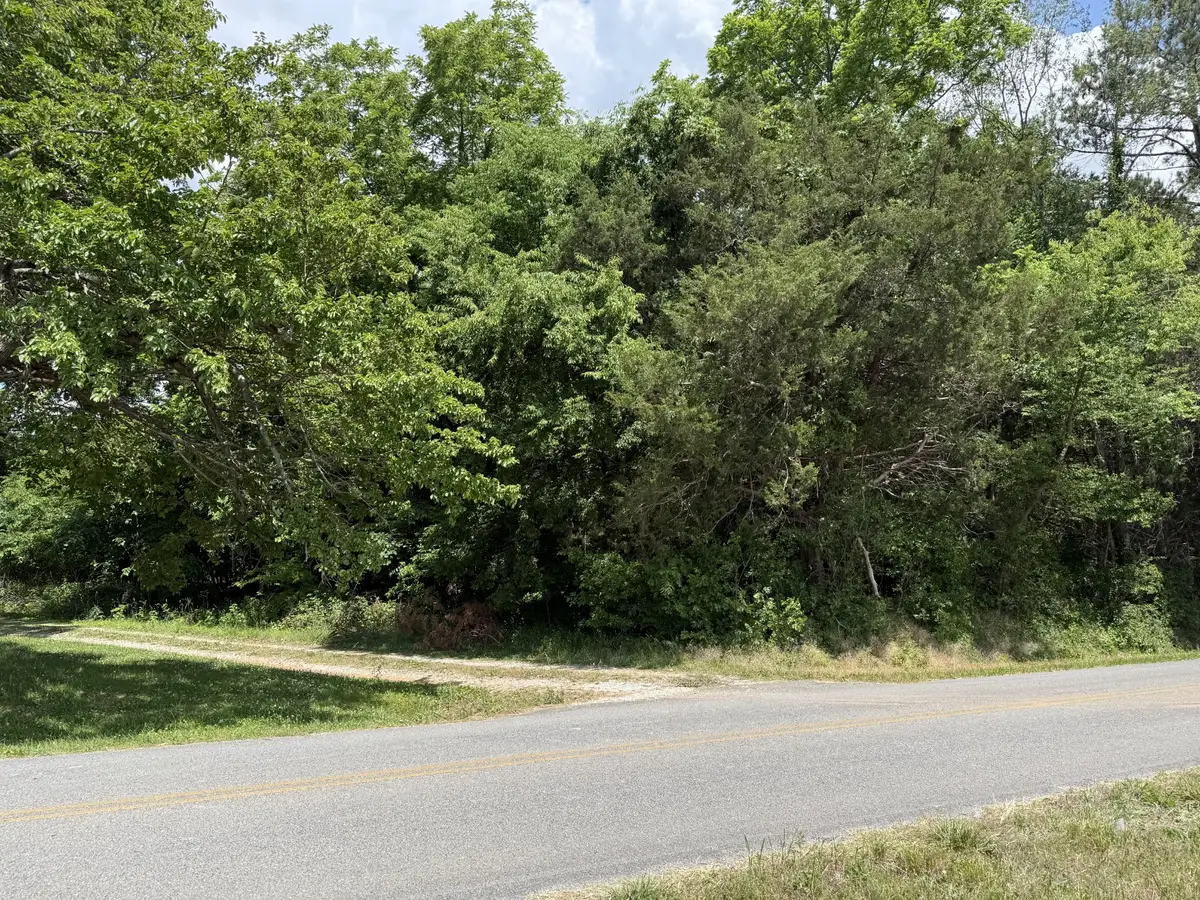 0 Kasserman Switch Rd, Belvidere, TN 37306 - #1