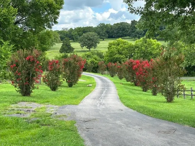 1839 Polly Adams Rd, Belfast, TN 37019 - #3