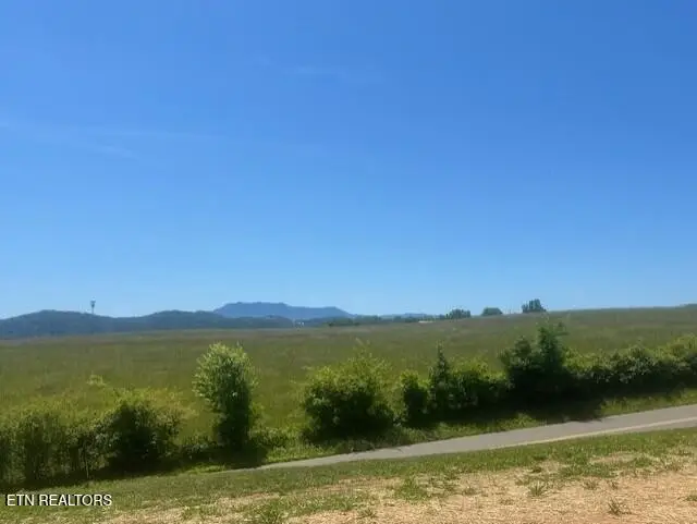 972 Lacy Ct, Sevierville, TN 37862 - #3