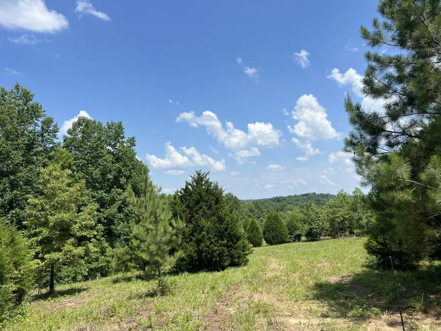 4200 Shiloh Canaan Rd, Palmyra, TN 37142 - #3