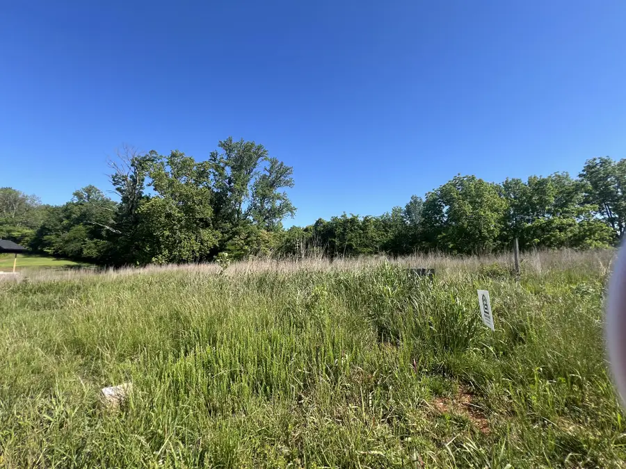 3036 Timberdale Dr, Clarksville, TN 37042 - #2