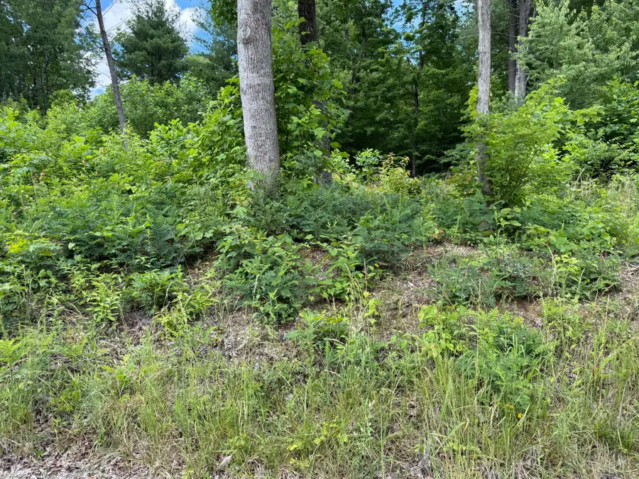 0 Coal Banks Road, Sparta, TN 38583 - #2