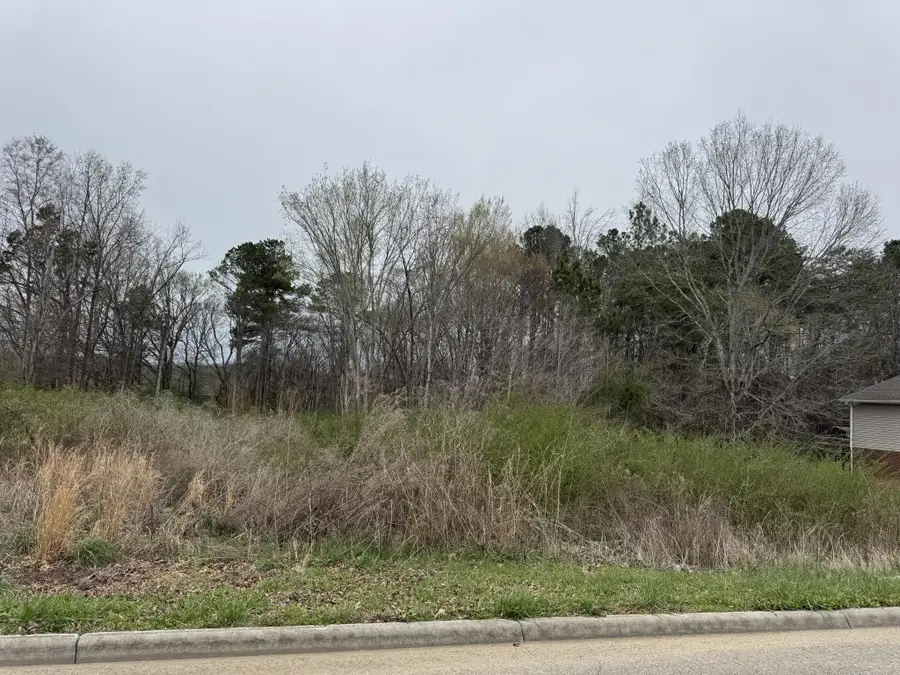 112 Shadows Lawn, Athens, TN 37303 - #3