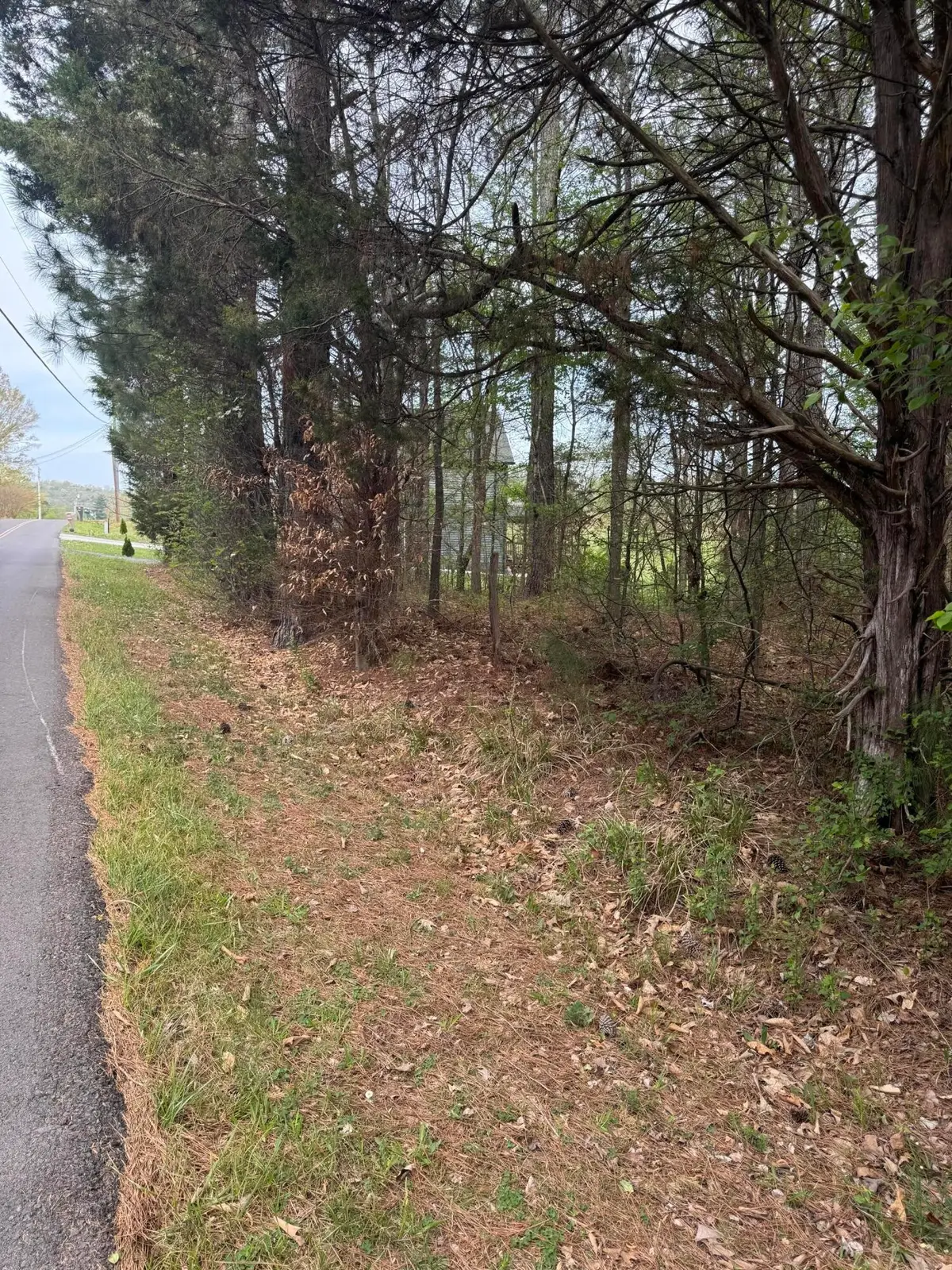 130 Se Trewhitt Drive Se, Cleveland, TN 37323 - #1
