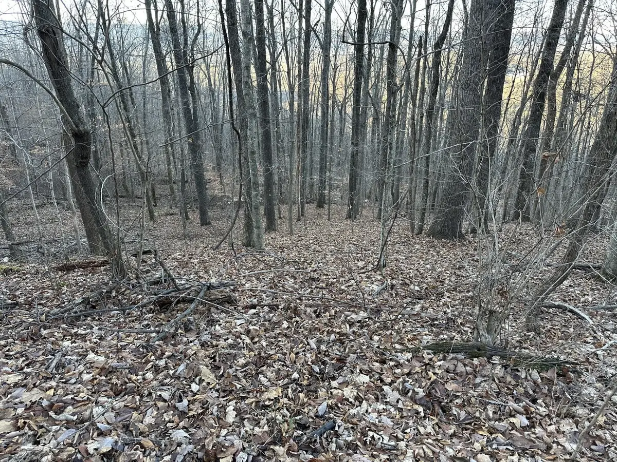 76 Fox Ridge, Pikeville, TN 37367 - #1