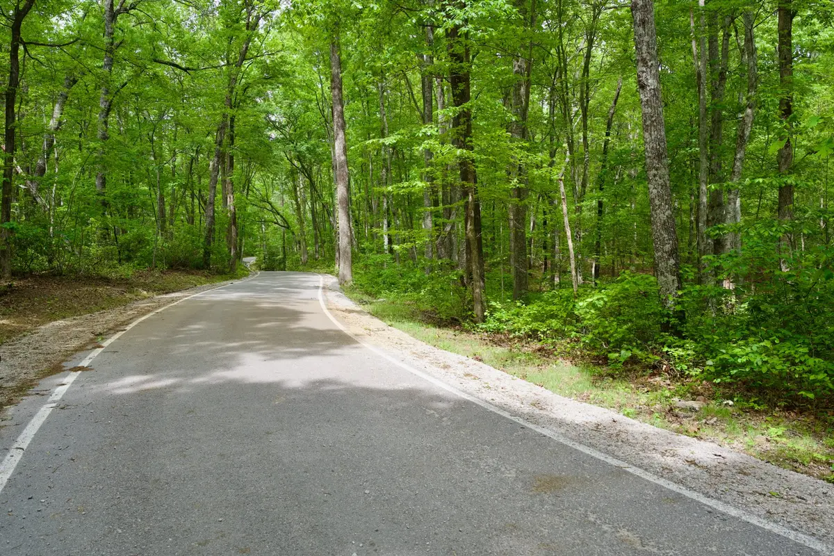 0 Hills Cemetery Rd, Spencer, TN 38585 - #1