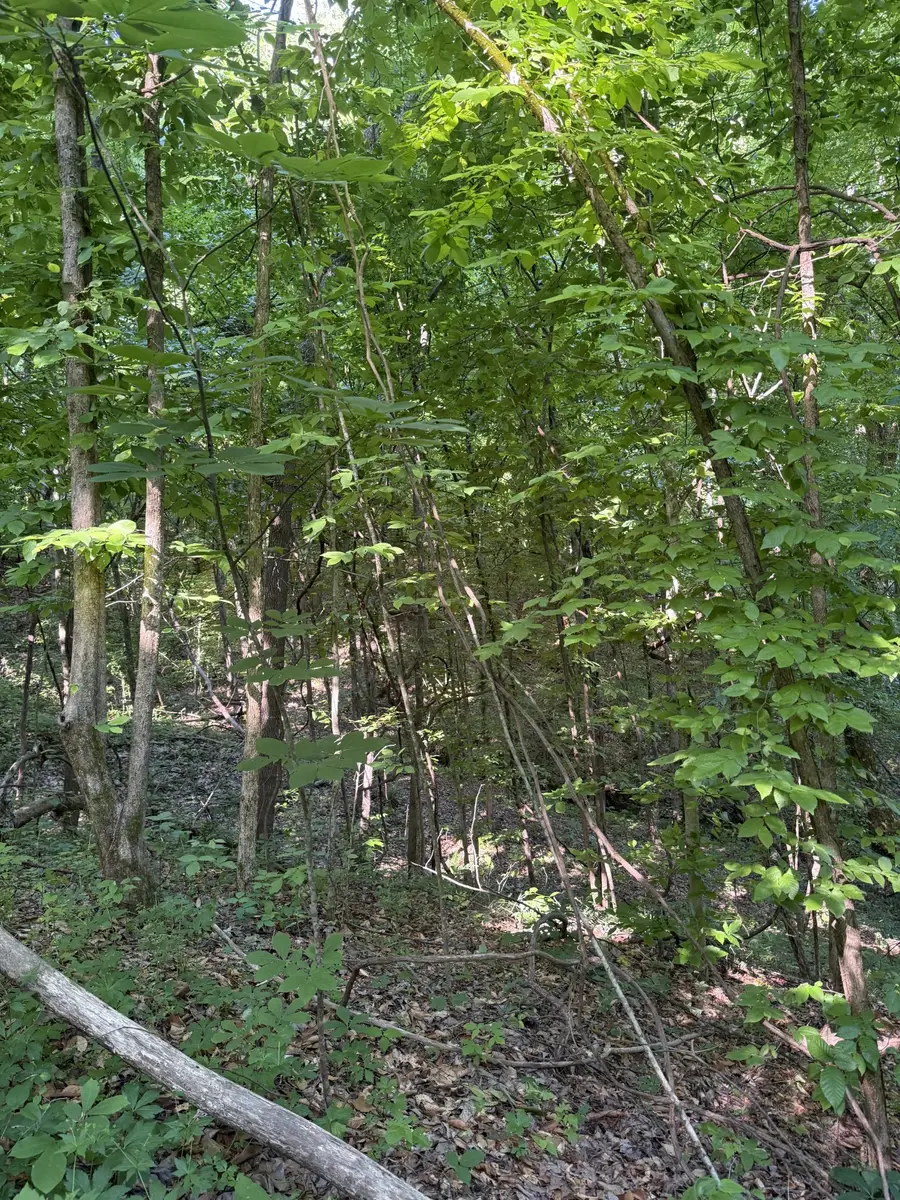 0 W Of Crigger Rd, Millington, TN 38053 - #2