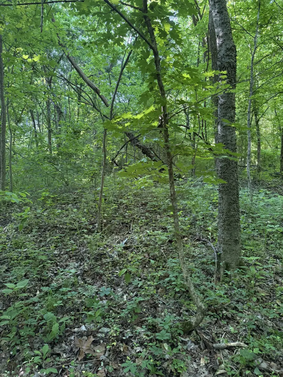 0 W Of Crigger Rd, Millington, TN 38053 - #3