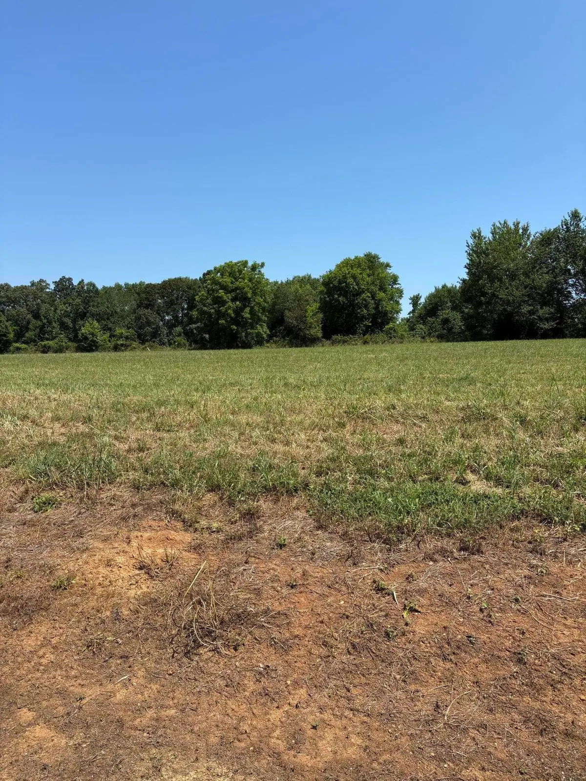 0 Butterfly Cove Trail, Decatur, TN 37322 - #1
