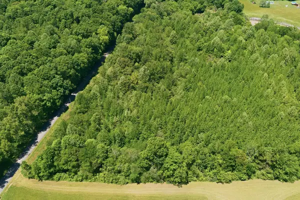 0A Upperstanding Rock Rd, Dover, TN 37058