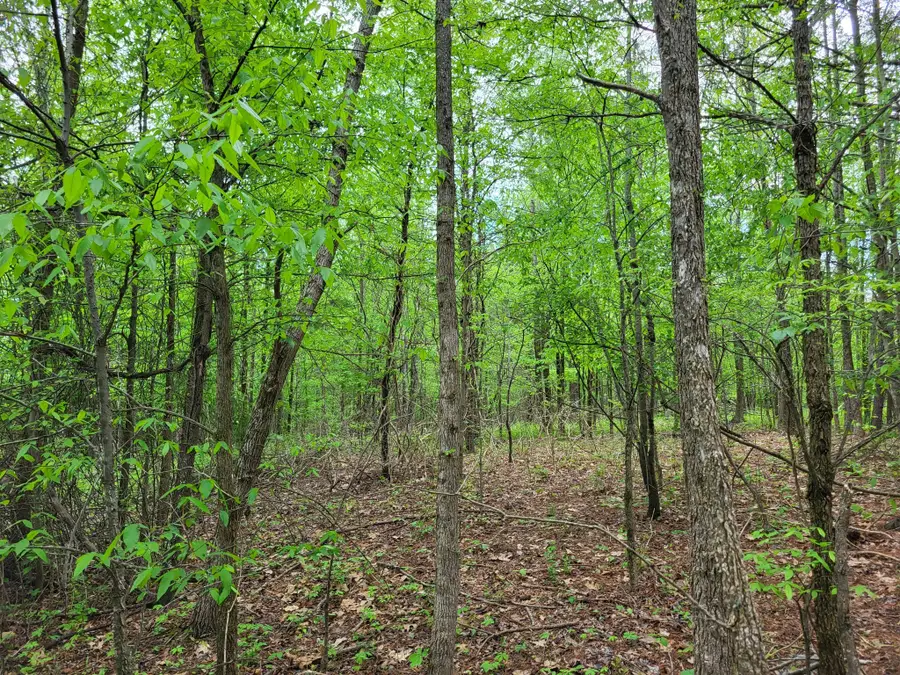 0 Indian Creek Rd, Dover, TN 37058 - #2