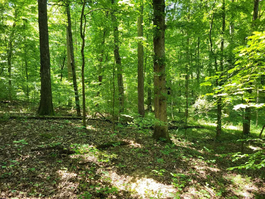 0 Indian Creek Rd, Dover, TN 37058 - #3