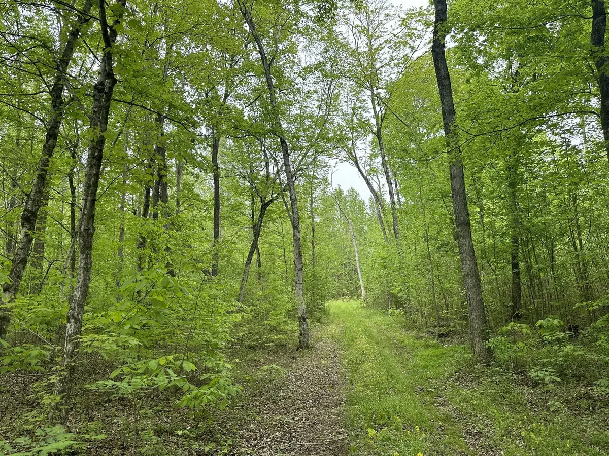 2 Poplar Ridge Rd, Chapmansboro, TN 37035 - #1