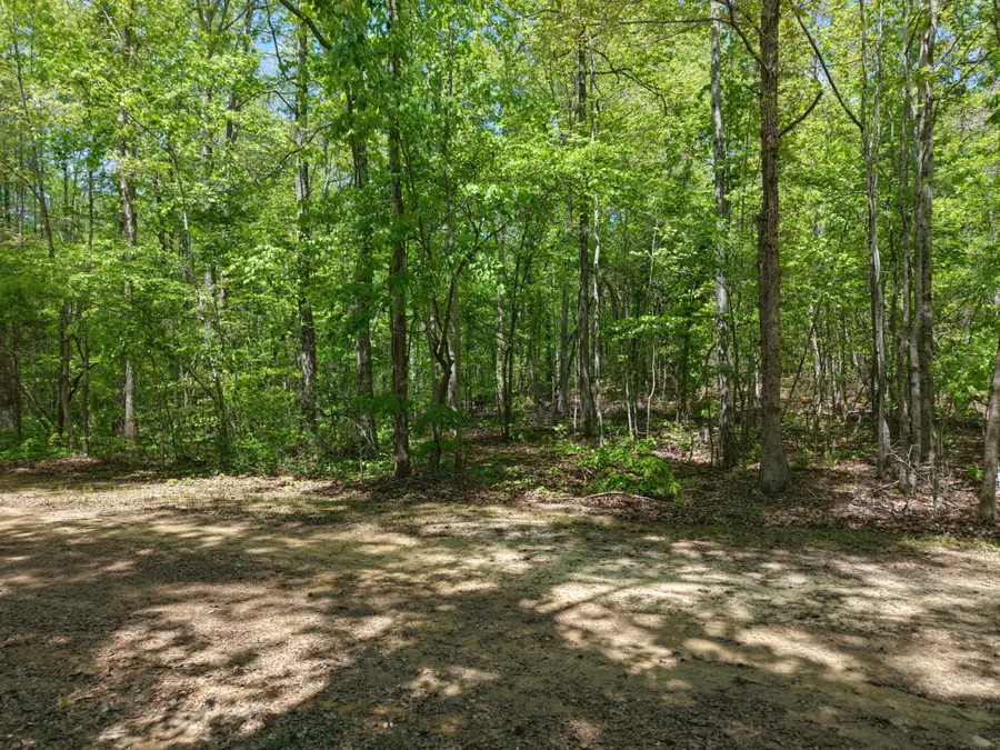 0 Jim Black Drive, Old Fort, TN 37362 - #3