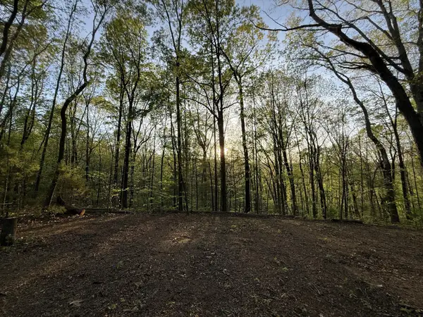 0 Sloan Gap Road, Ocoee, TN 37361