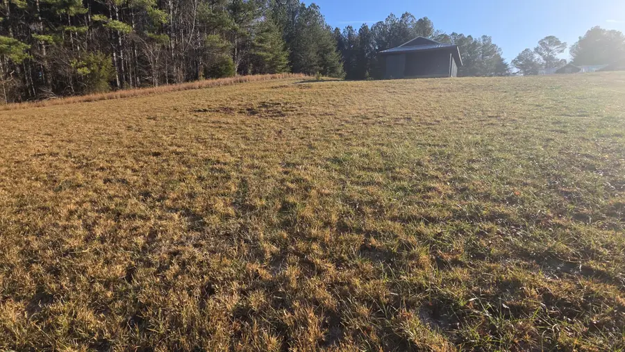 122 White Water Run Lane, Ocoee, TN 37361 - #3