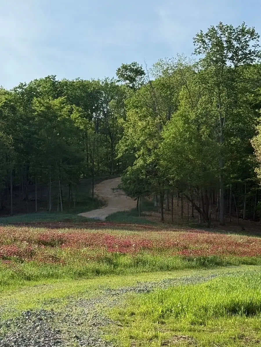 5284 Poor House Hollow Rd, Franklin, TN 37064 - #3