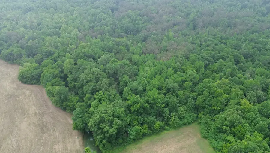 510 Lost Creek Farm Dr, Decaturville, TN 38329 - #2
