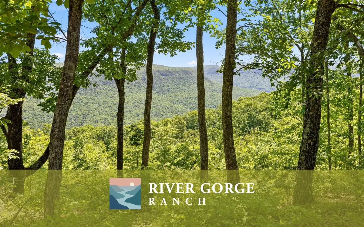 1266 Yaki Point, Guild, TN 37340 - #1