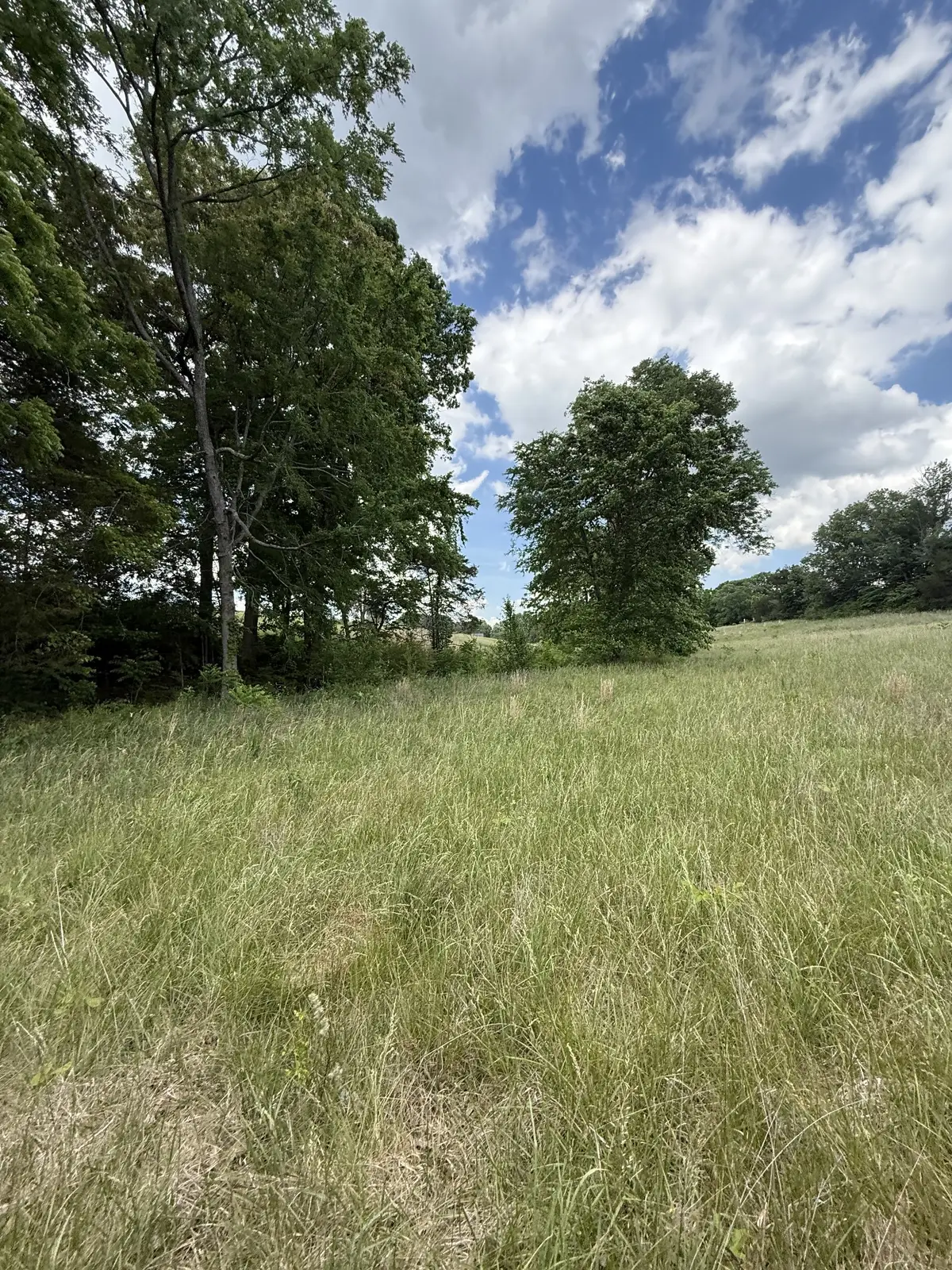 0 Love Rd, Mc Minnville, TN 37110 - #1